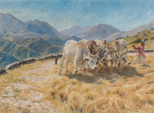 Peter Hansen, "Tærskende okser, Civita d'Antino", 1904. Inv. nr. 63 WH. Fotograf Anders Sune Berg